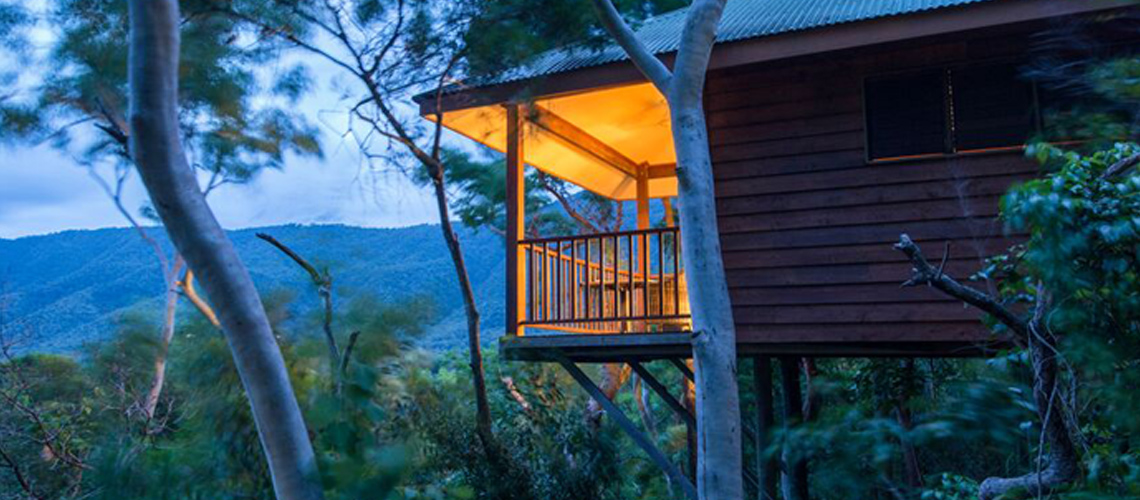 Read more about the article Amazing Tree House Hideaway! Thala Beach Nature Reserve