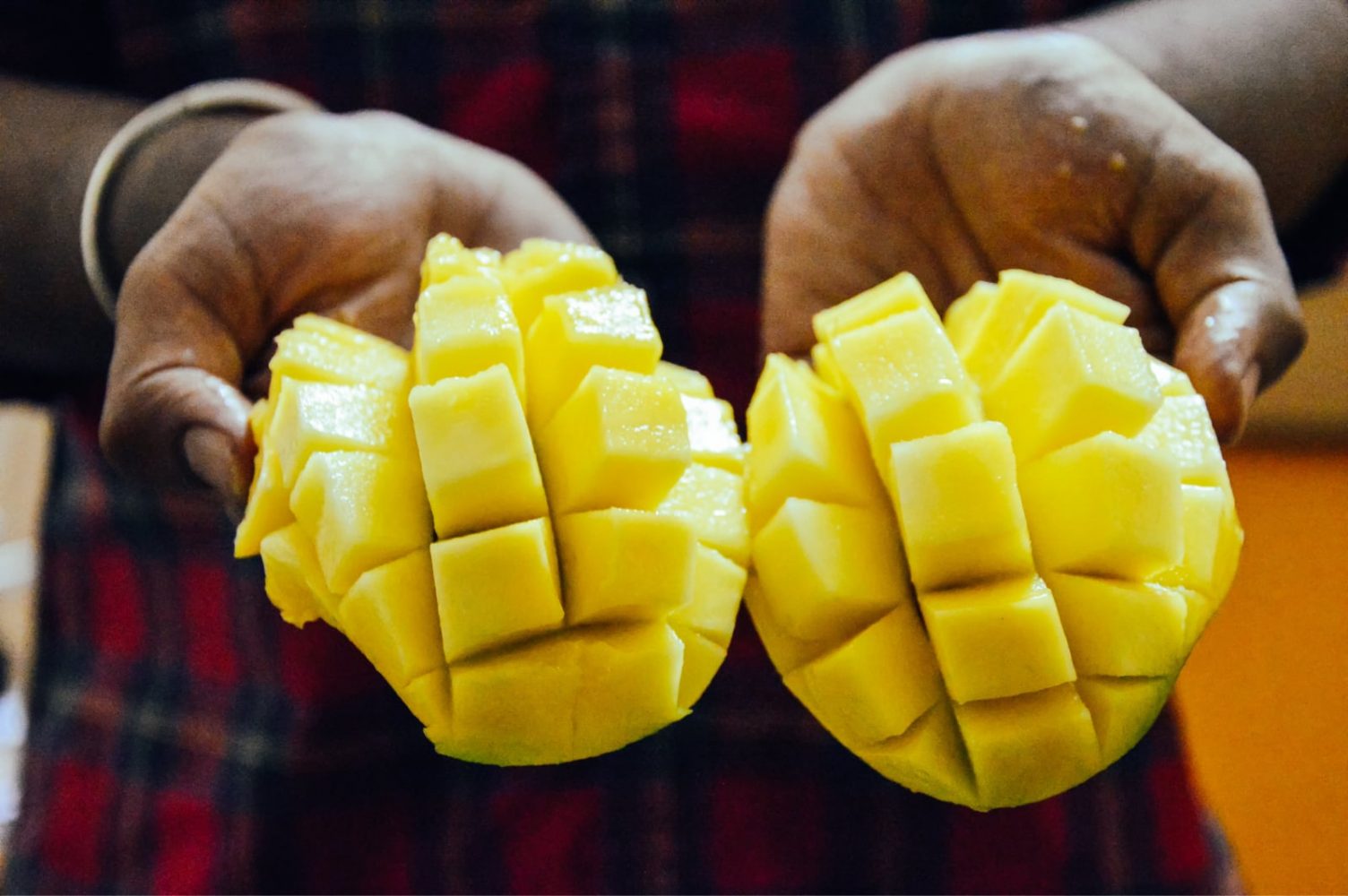 Read more about the article The Art of Selling Mangoes! (A Note on How to Travel Well)